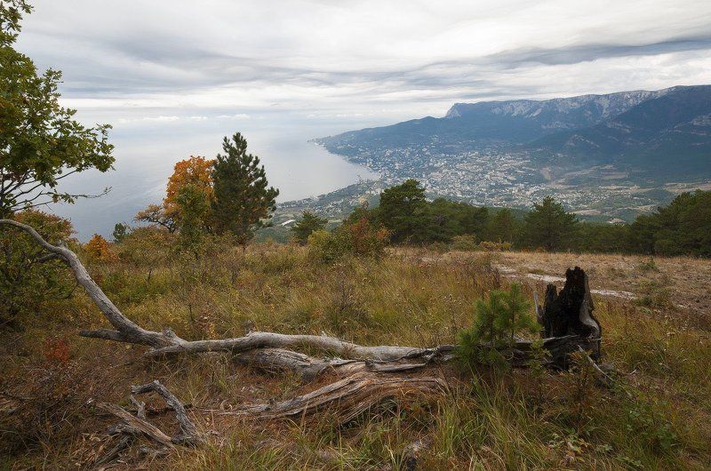 Вид на Ялту с высоты Ай-Илия-Сырым...photo preview