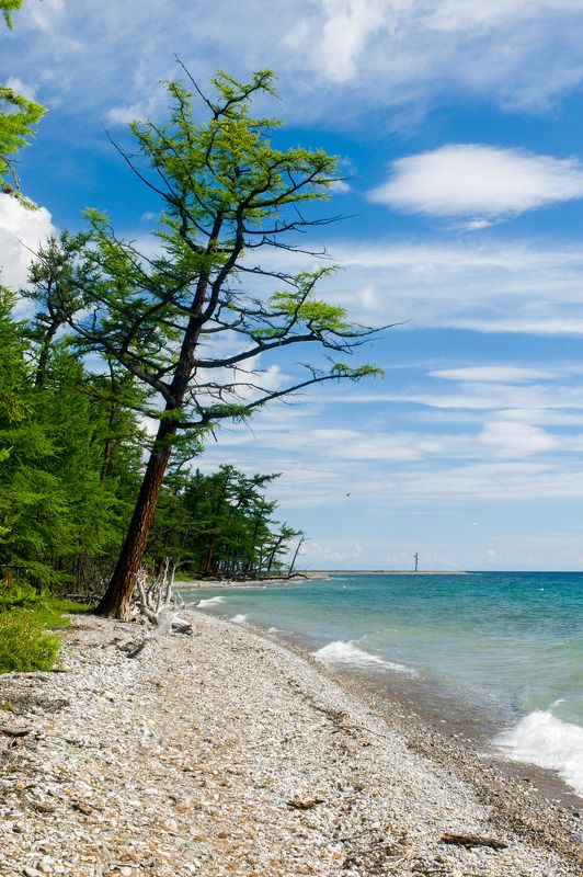 Монголия, Хубсугул озеро Хубсугул (Северная Монголия)photo preview