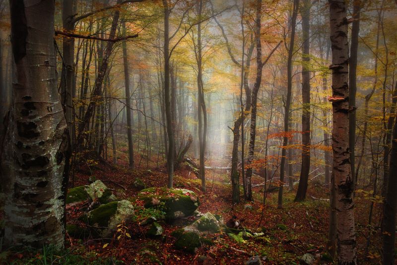 Утроphoto preview