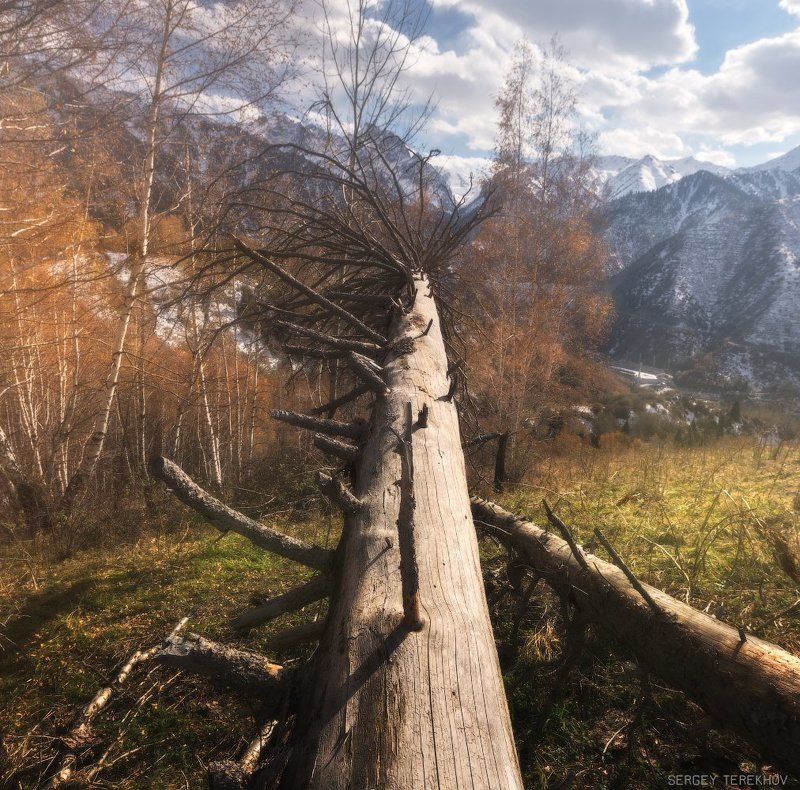 алматы, казахстан, медео, тянь-шань, Урочище Медеоphoto preview