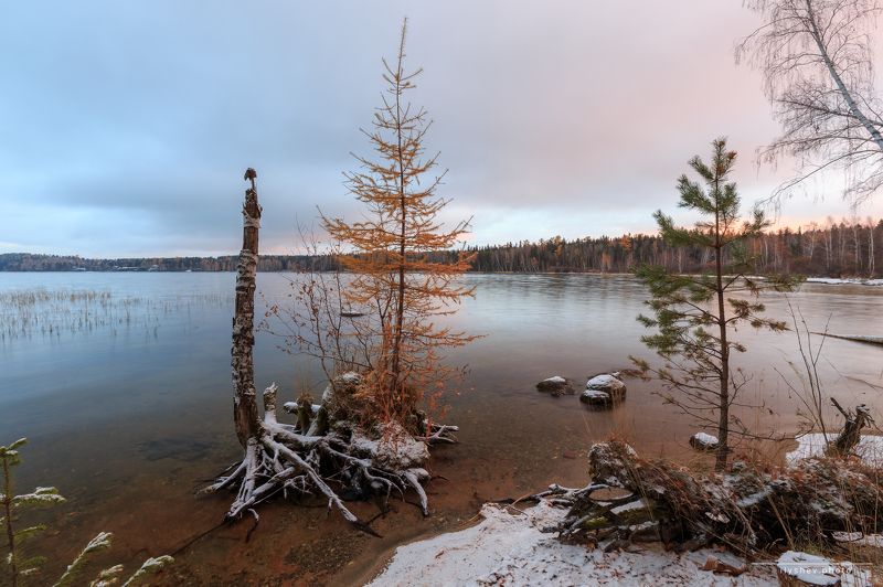 рассвет, озеро, свет, елка, островок, лиственница, пейзаж, природа, урал, россия чудо на Таватуеphoto preview