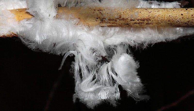 Снежные волосы (Snow hair)photo preview