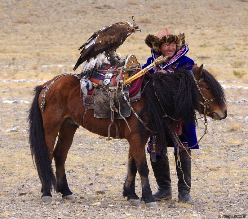 монголия беркут орел охотник ***photo preview