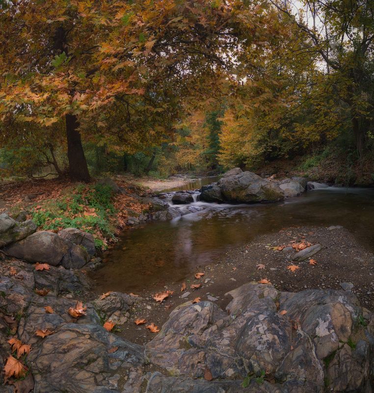 Есенна рекаphoto preview