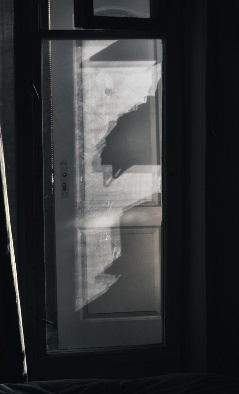 «Задверье»photo preview