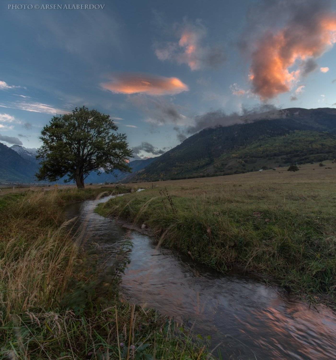 ТЕБЕРДИНСКИЙ РУЧЕЙ. Автор: Арсен Алабердов ручей, речка, вечер, закат, облака, дерево, горы, поляна, долина, теберда, карачаево-черкесия, Арсен Алабердов