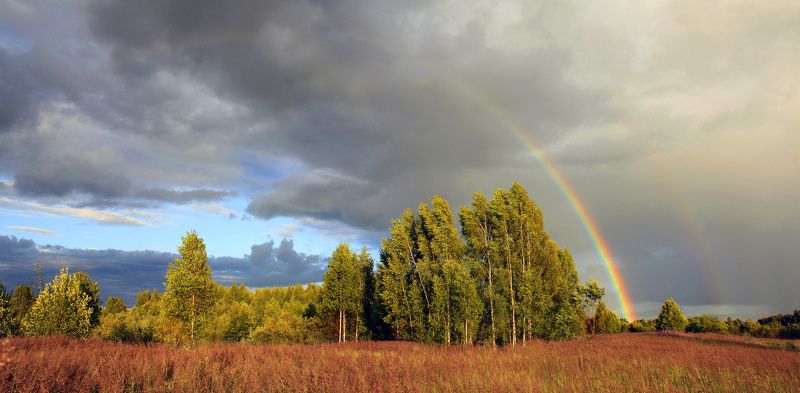 лето , радуга , поле , тучи Русский пейзаж )photo preview