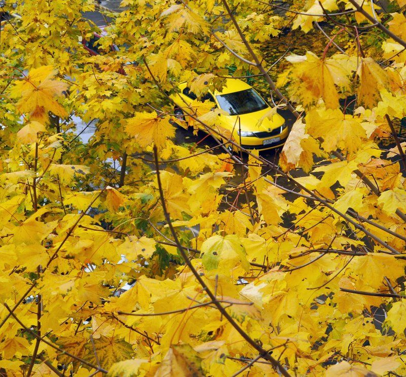 Такси подано.photo preview