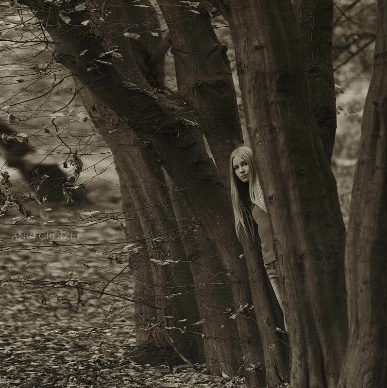 Феерия чувств....photo preview