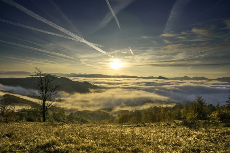 MORNING,MIST,SUNSET,FOG,TREE,HILLS,SUN,COLORS The last one...photo preview