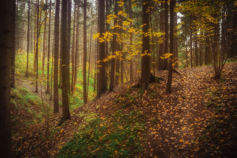 Красногорск Октябрьphoto preview