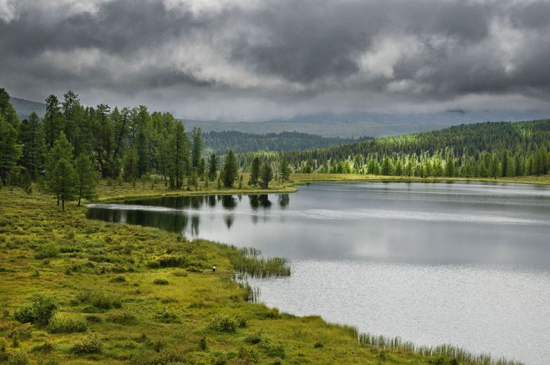 на Улаганском перевалеphoto preview