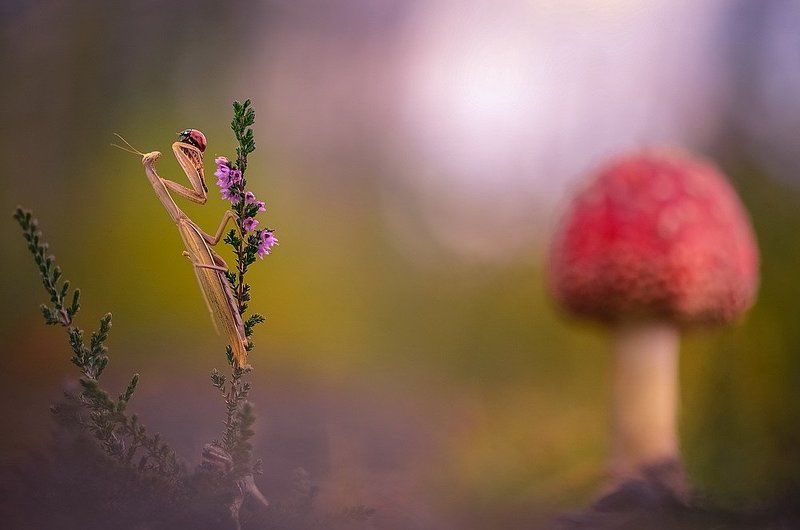 А поговорить...photo preview