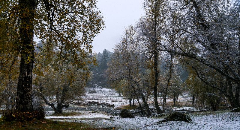 Про встречу осени с зимойphoto preview