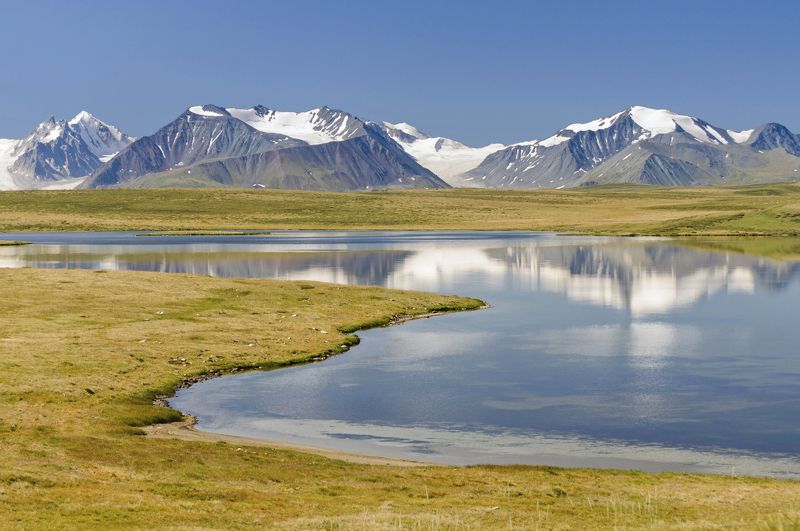 укок голубоглазый Кальджин-Кольphoto preview