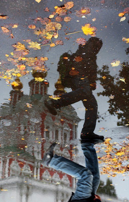 отражения осениphoto preview