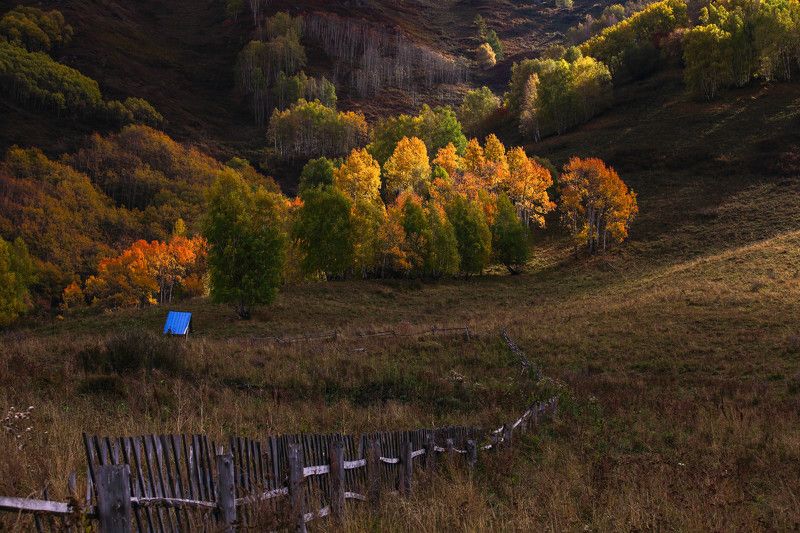 Алтайский photo preview
