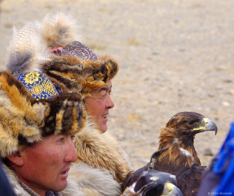 Беркут, Беркутчи, Монголия, Орел, Охотник ***photo preview