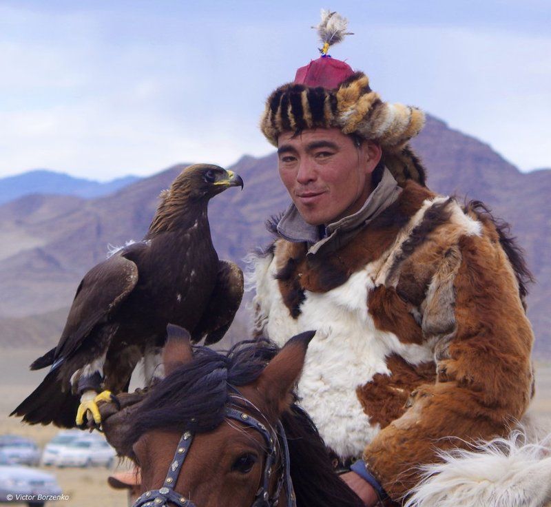 беркут, беркутчи, монголия, орел, охотник ***photo preview