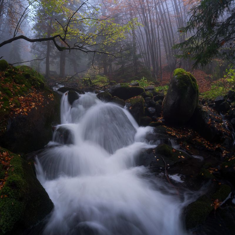 Бистришка есенphoto preview