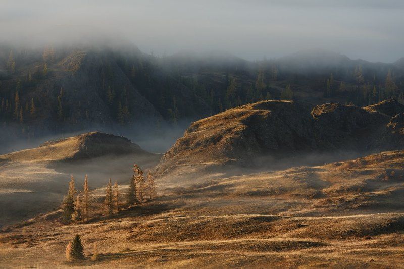 Молочных рек предутренняя свежестьphoto preview