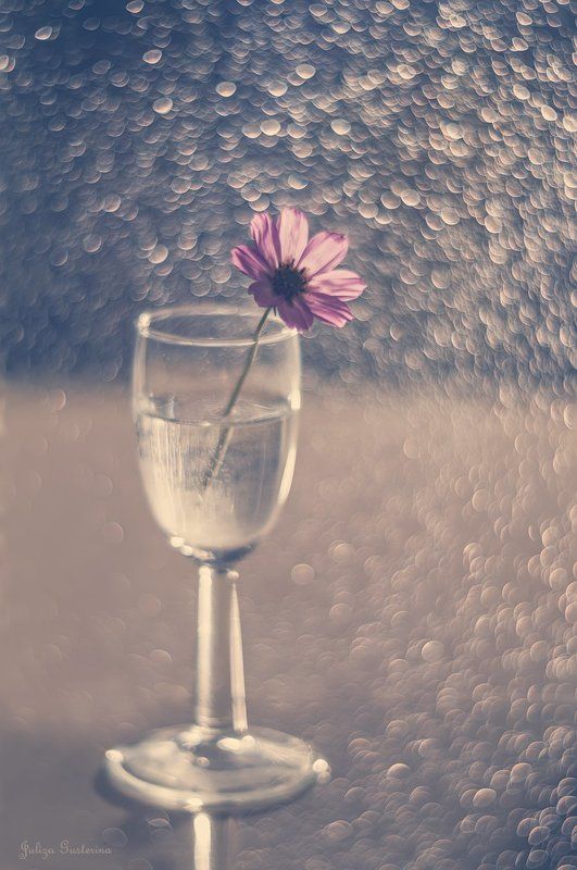 про космейкуphoto preview