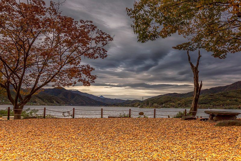 autumn leavesphoto preview