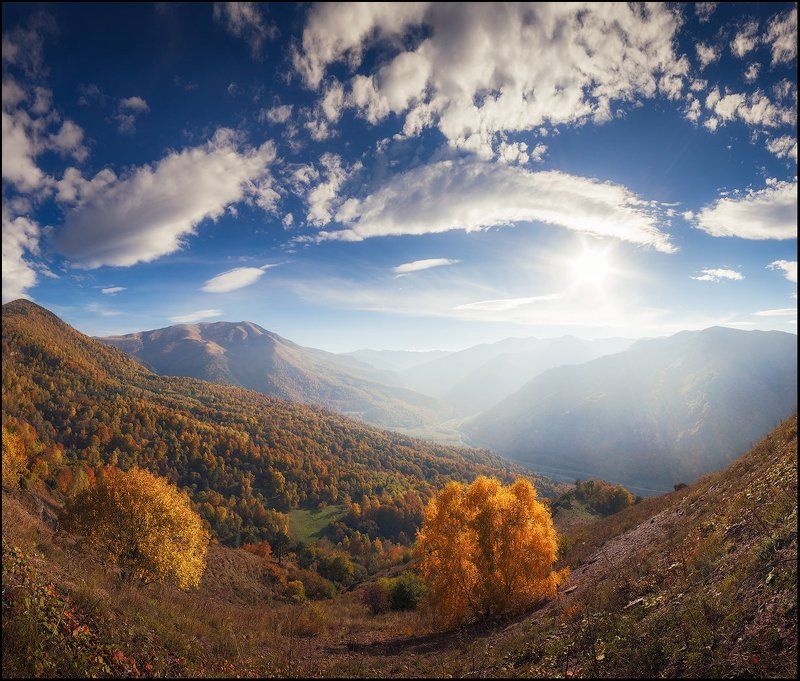 Золотая осеньphoto preview