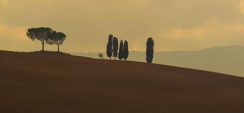 Toskanaphoto preview