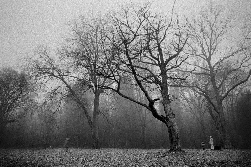 Oblivion.photo preview