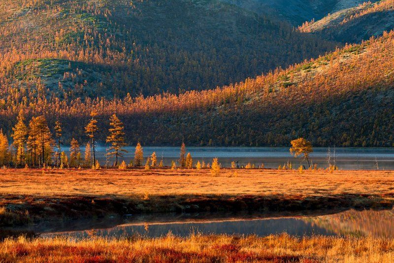 колыма Эликчанские изгибы осени фото превью