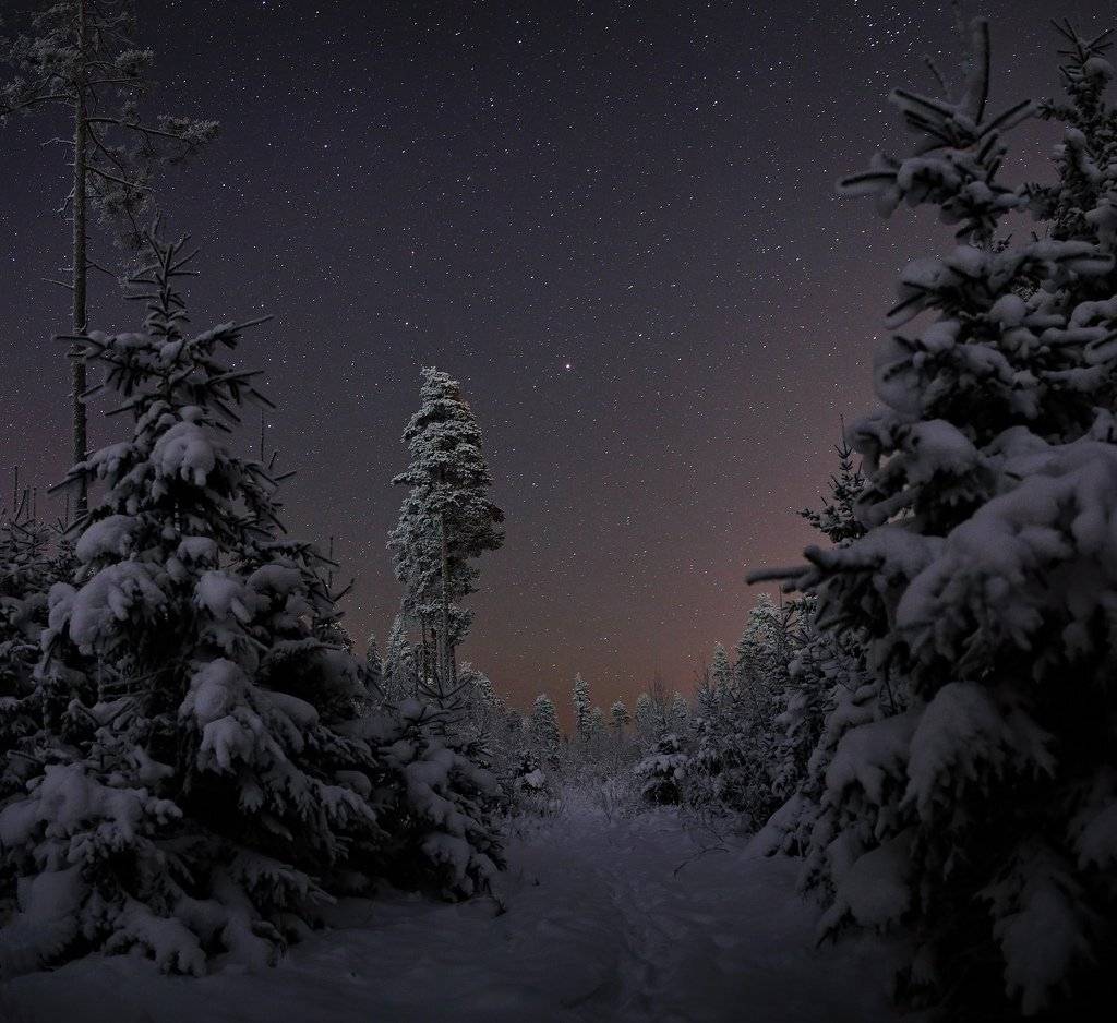 , Михаил Рева