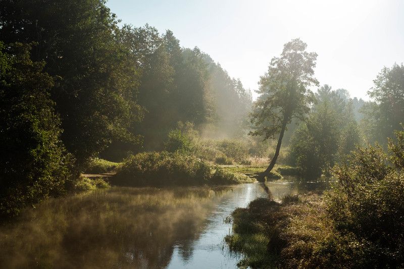 утро Viisjoki фото превью