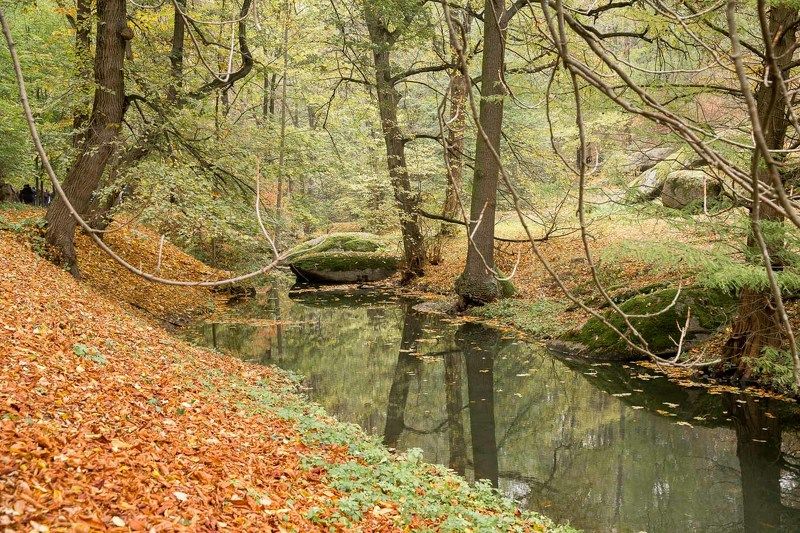 осень, парк, Умань, Софиевка, листья, ручей, скамейка Лесной ручейphoto preview