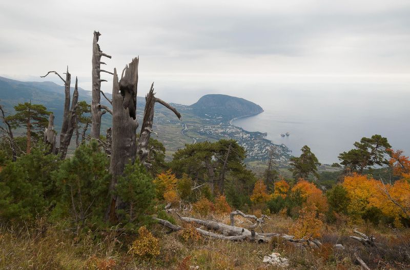 И вновь я здесь и ничего не изменилось.......photo preview