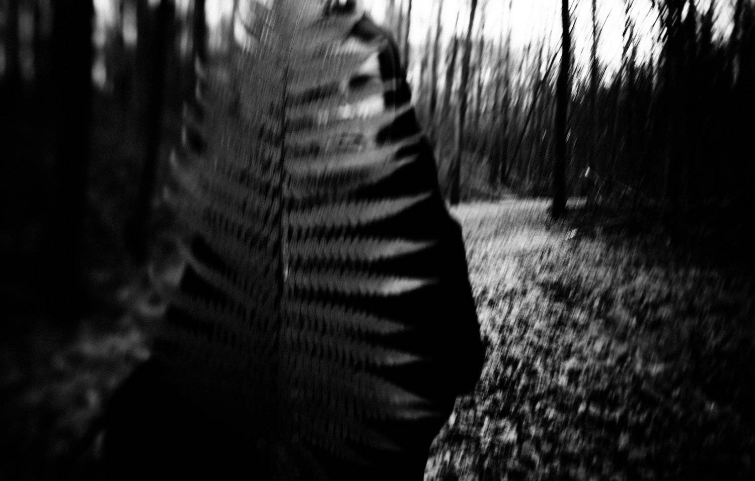 , Валерий Труш