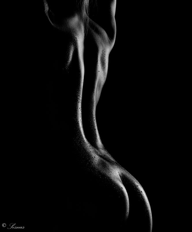 Студия42, ню, блики, капли Этюд № 2photo preview