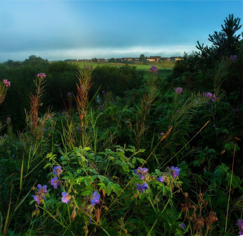 Вспоминая летоphoto preview