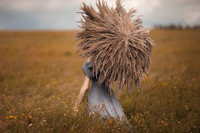 International Floral Art 2016-2017photo preview