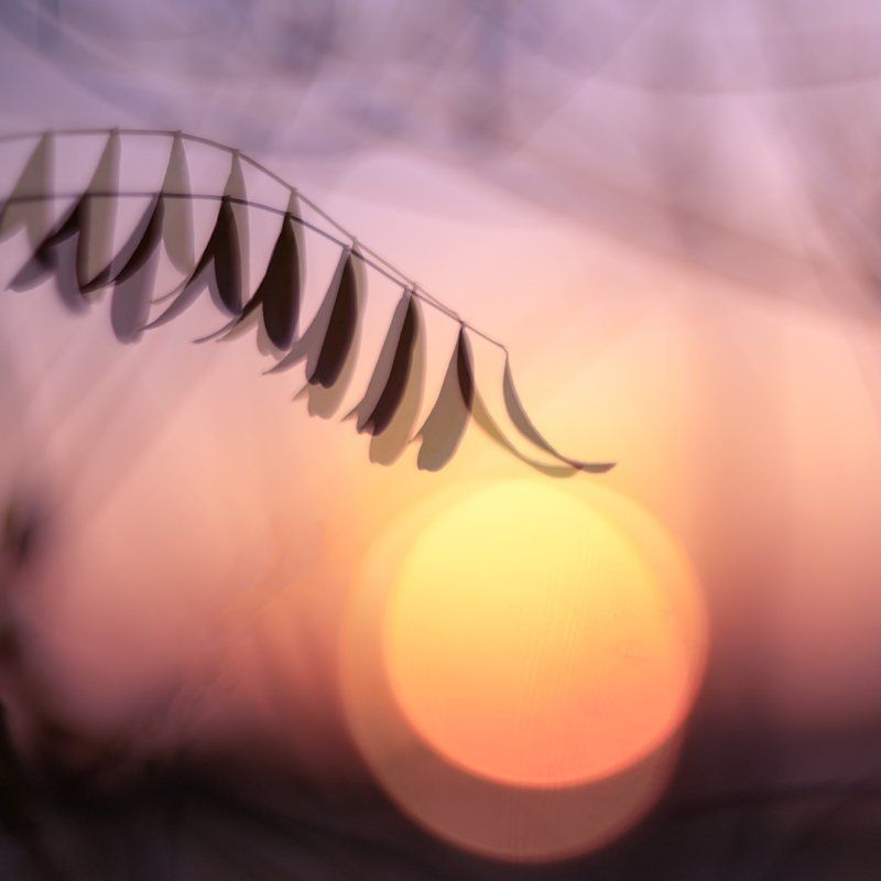 Дышу гармонией и в перезвоне душ, едва коснувшись, в Солнце растворюсь..photo preview