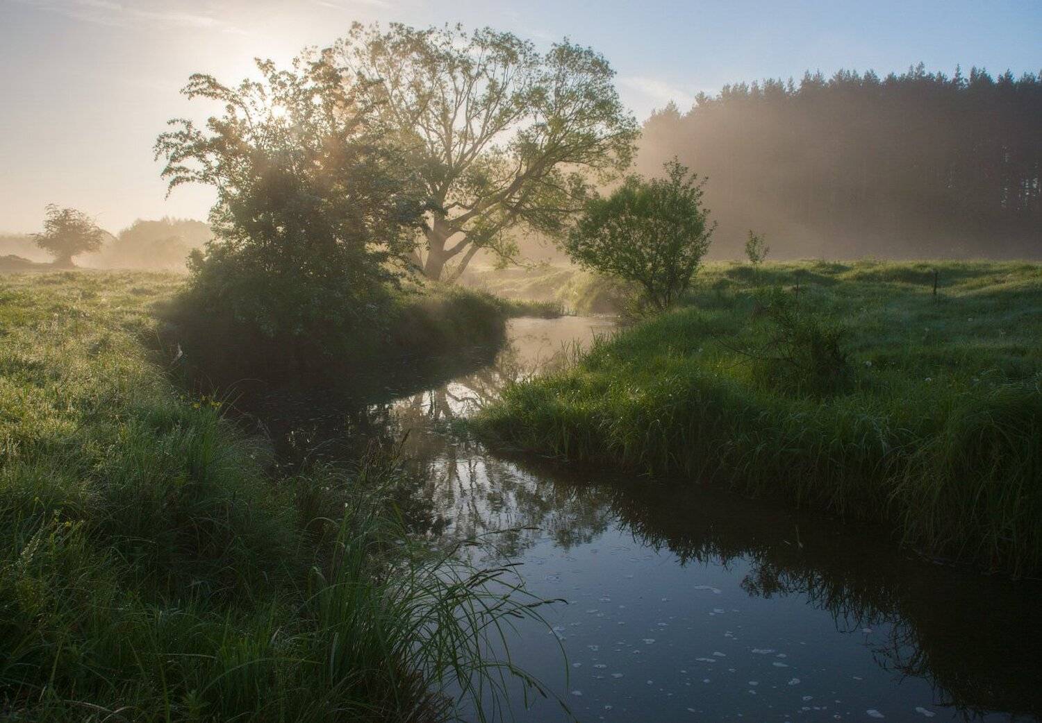 , Сергей Добровольский