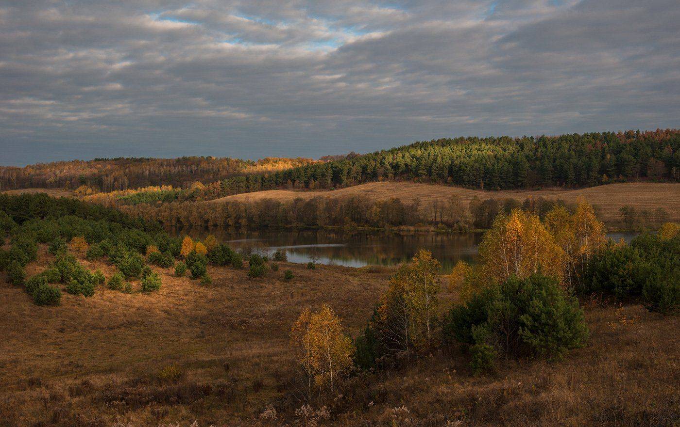 Автор: Володимир Карчевський , Володимир Карчевський