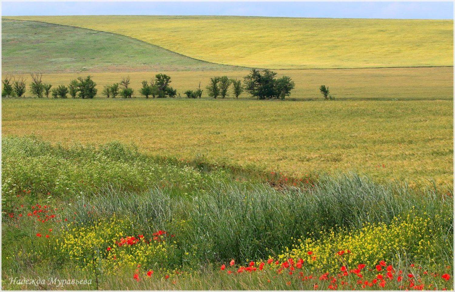 крым, керченский полуостров, Надежда Муравьёва