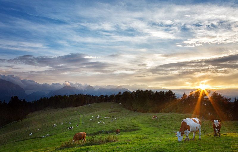 Вечер в горахphoto preview
