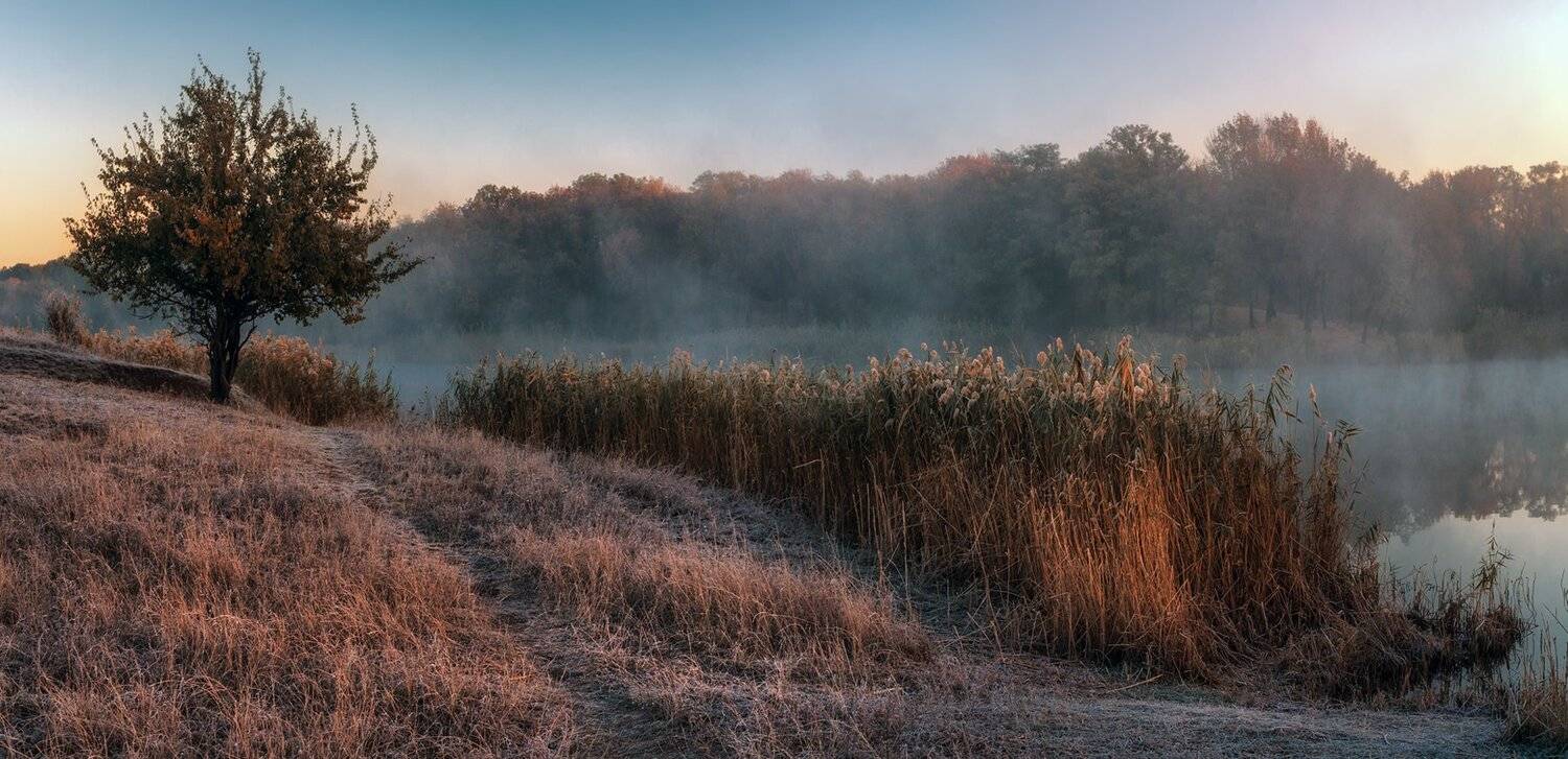 , Игорь Мелекесцев