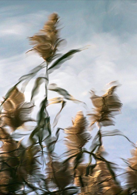 отражение Отражениеphoto preview