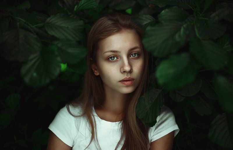 Dodge & Burning, Девушка в лесу, Естественный свет, Лес природа, Портрет в кустах, Портрет в лесу Лес фото превью