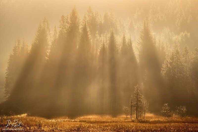 Germany, Bavaria, Werdenfelser Land, Bayerisches Oberland, Garmisch-Partenkirchen, Alps, Gerold, Geroldsee, Wagenbrüchsee, Karwendel, Krün, Mittenwald, Garmisch, Werdenfels, Europe, travel, lake, see, autumn,  rays, autumn landscape, daniel rericha, morni Bavarian raysphoto preview