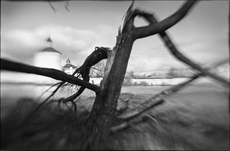 сиверское озеро кирилло-белозерский монастырь дерево противостояниеphoto preview