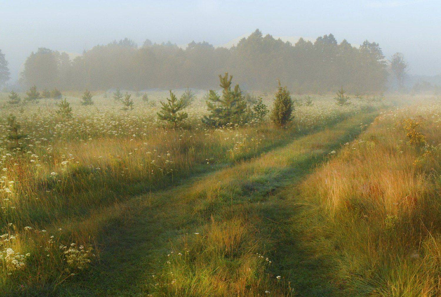 неман, луг, утро, солнце, туман, Валерий Козуб